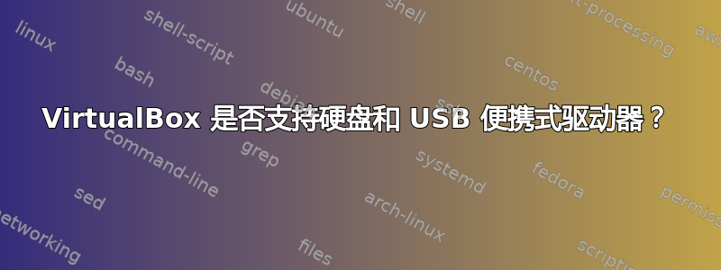 VirtualBox 是否支持硬盘和 USB 便携式驱动器？