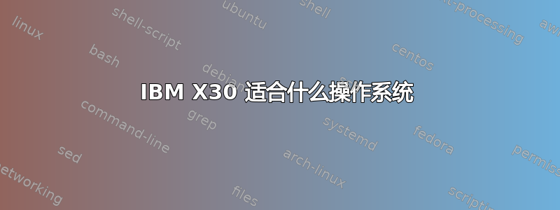 IBM X30 适合什么操作系统