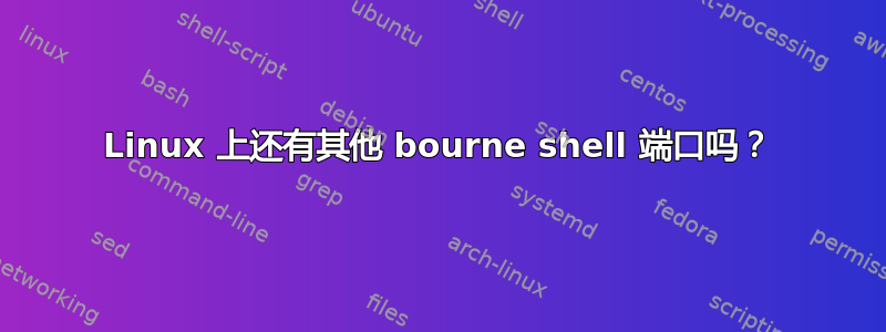 Linux 上还有其他 bourne shell 端口吗？