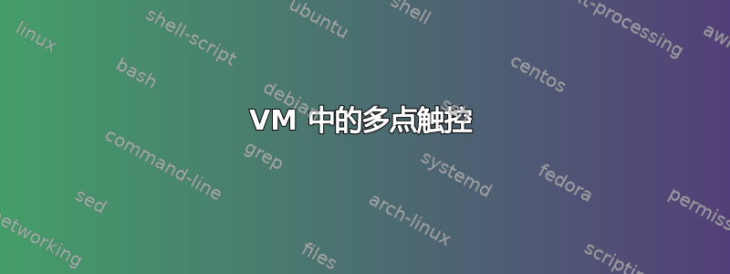 VM 中的多点触控