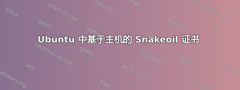 Ubuntu 中基于主机的 Snakeoil 证书