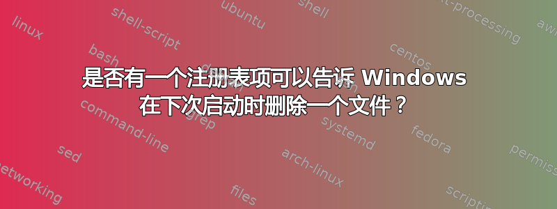 是否有一个注册表项可以告诉 Windows 在下次启动时删除一个文件？