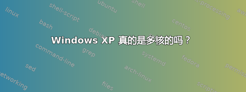 Windows XP 真的是多核的吗？