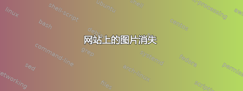 网站上的图片消失