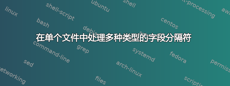 在单个文件中处理多种类型的字段分隔符