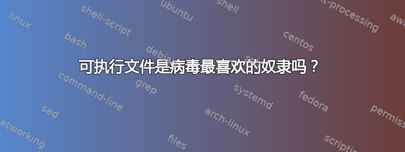 可执行文件是病毒最喜欢的奴隶吗？