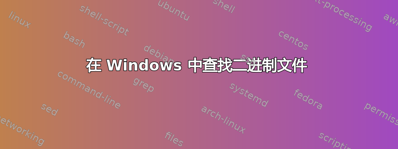 在 Windows 中查找二进制文件