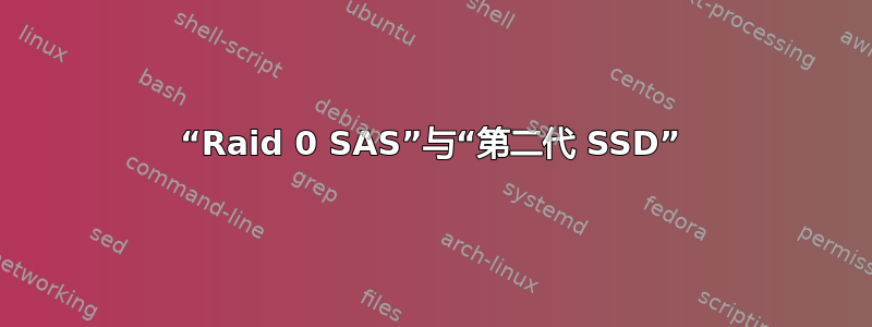 “Raid 0 SAS”与“第二代 SSD”