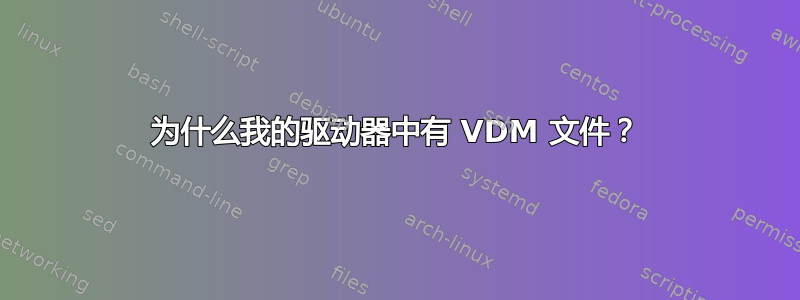 为什么我的驱动器中有 VDM 文件？