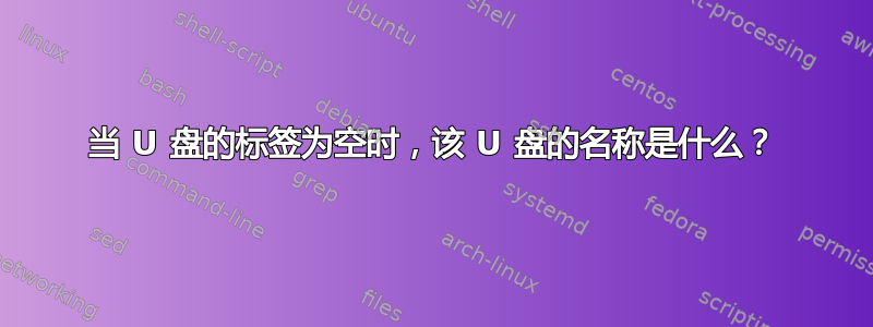 当 U 盘的标签为空时，该 U 盘的名称是什么？