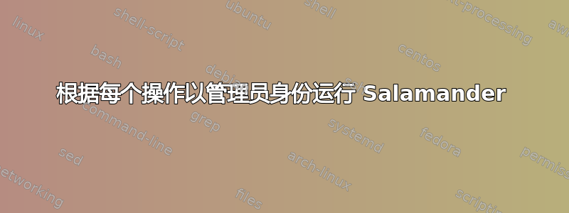 根据每个操作以管理员身份运行 Salamander