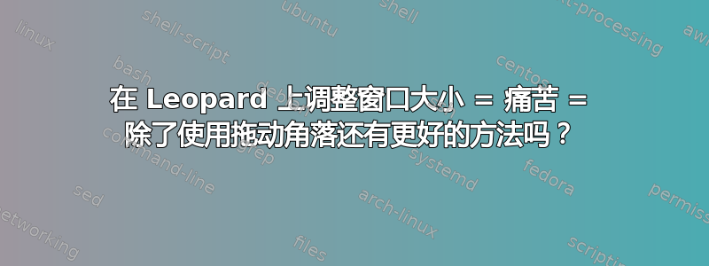 在 Leopard 上调整窗口大小 = 痛苦 = 除了使用拖动角落还有更好的方法吗？