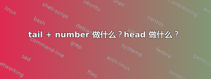 tail + number 做什么？head 做什么？