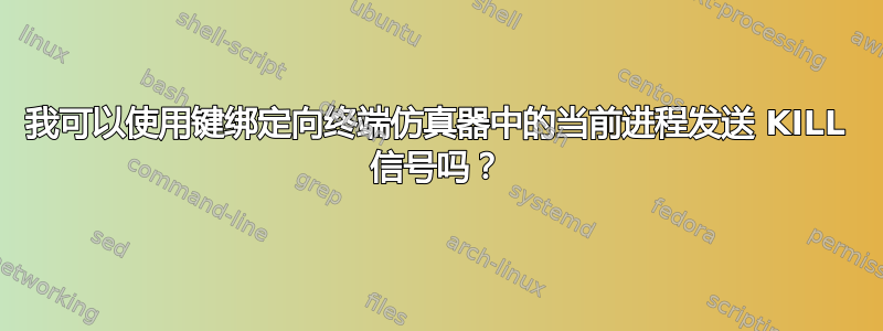 我可以使用键绑定向终端仿真器中的当前进程发送 KILL 信号吗？