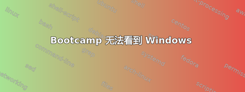 Bootcamp 无法看到 Windows