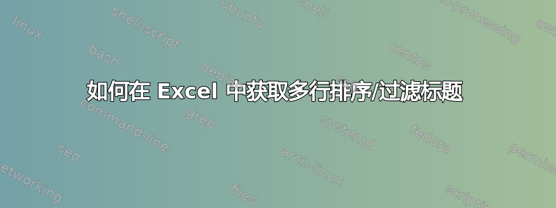 如何在 Excel 中获取多行排序/过滤标题