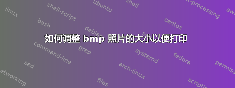 如何调整 bmp 照片的大小以便打印