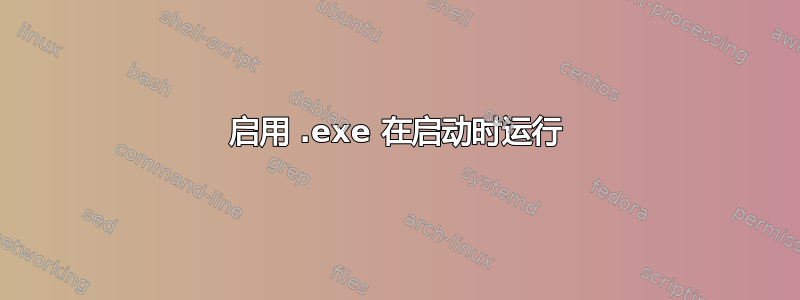 启用 .exe 在启动时运行