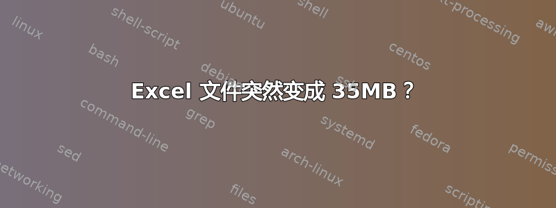 Excel 文件突然变成 35MB？