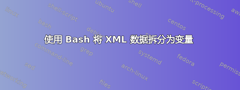 使用 Bash 将 XML 数据拆分为变量