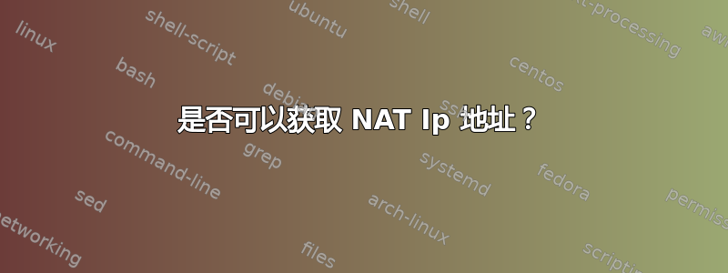 是否可以获取 NAT Ip 地址？