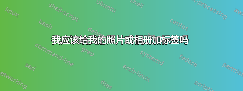 我应该给我的照片或相册加标签吗