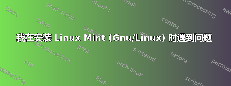 我在安装 Linux Mint (Gnu/Linux) 时遇到问题