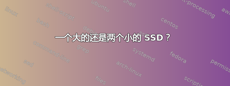 一个大的还是两个小的 SSD？