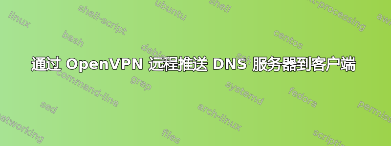 通过 OpenVPN 远程推送 DNS 服务器到客户端