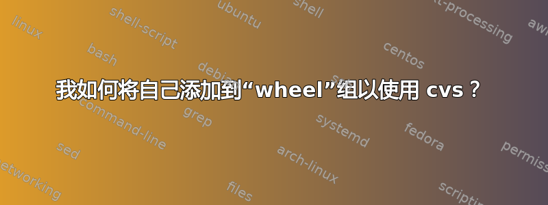 我如何将自己添加到“wheel”组以使用 cvs？