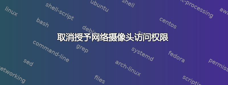 取消授予网络摄像头访问权限