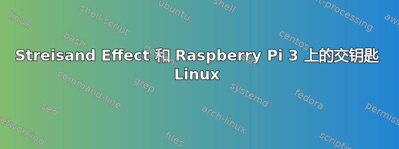 Streisand Effect 和 Raspberry Pi 3 上的交钥匙 Linux