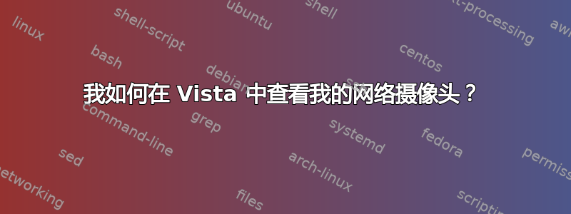 我如何在 Vista 中查看我的网络摄像头？