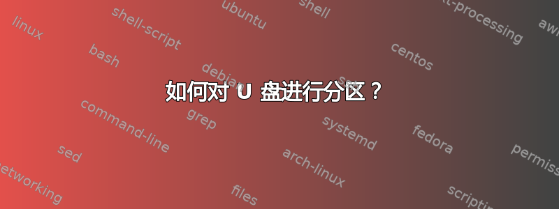 如何对 U 盘进行分区？