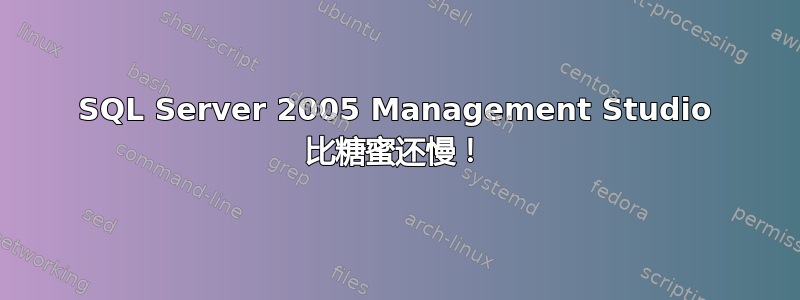 SQL Server 2005 Management Studio 比糖蜜还慢！