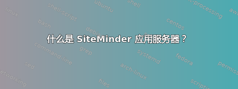 什么是 SiteMinder 应用服务器？