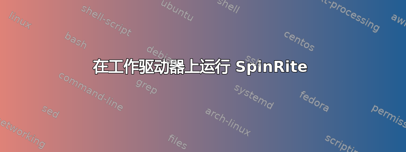 在工作驱动器上运行 SpinRite