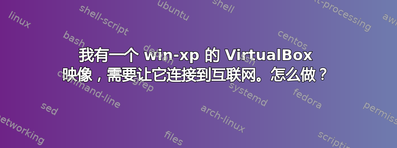 我有一个 win-xp 的 VirtualBox 映像，需要让它连接到互联网。怎么做？