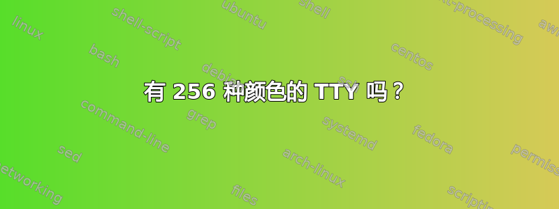 有 256 种颜色的 TTY 吗？