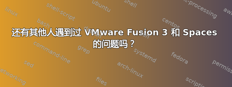 还有其他人遇到过 VMware Fusion 3 和 Spaces 的问题吗？