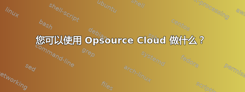 您可以使用 Opsource Cloud 做什么？