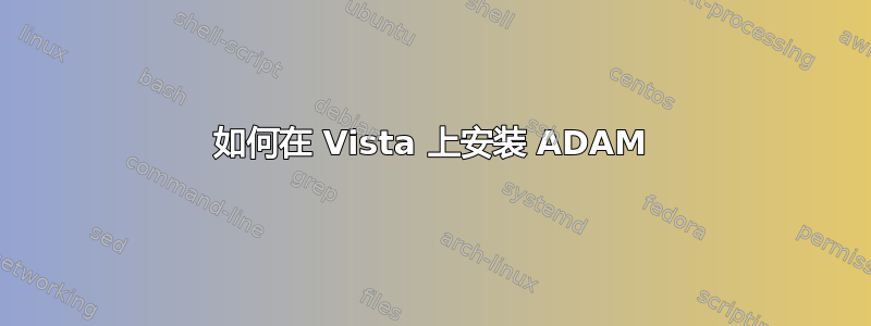 如何在 Vista 上安装 ADAM