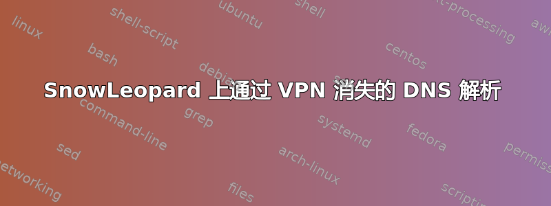 SnowLeopard 上通过 VPN 消失的 DNS 解析