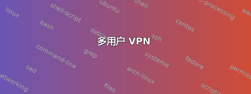 多用户 VPN