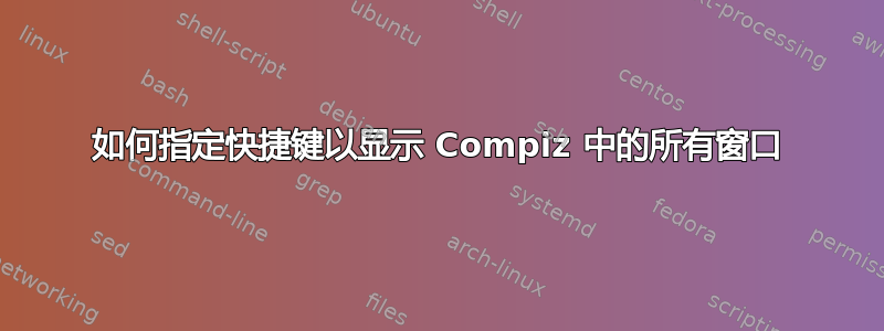 如何指定快捷键以显示 Compiz 中的所有窗口