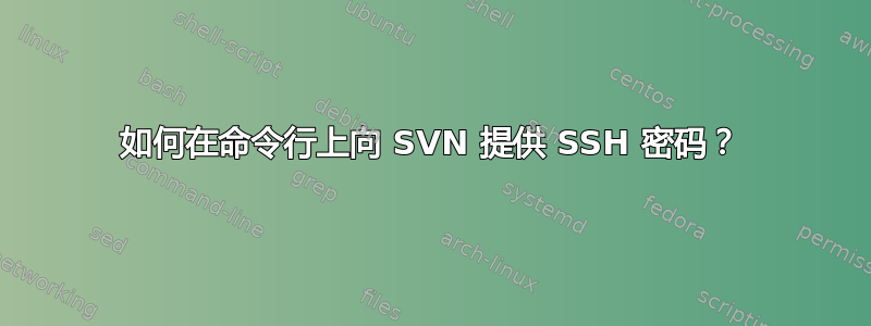 如何在命令行上向 SVN 提供 SSH 密码？