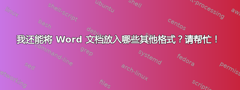 我还能将 Word 文档放入哪些其他格式？请帮忙！