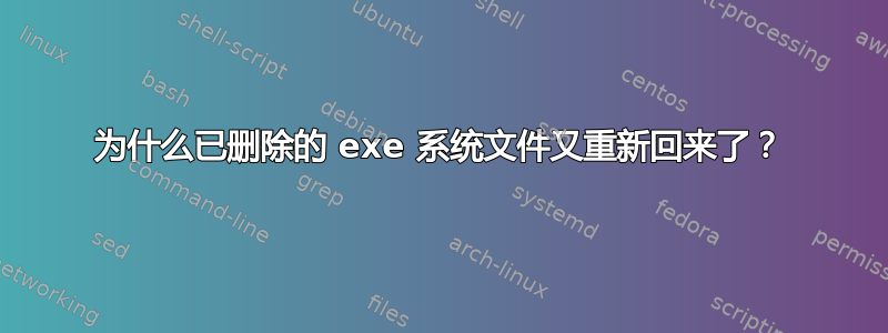 为什么已删除的 exe 系统文件又重新回来了？