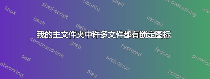 我的主文件夹中许多文件都有锁定图标