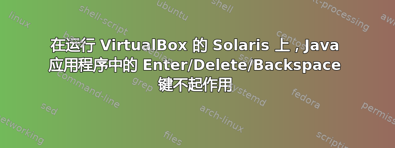 在运行 VirtualBox 的 Solaris 上，Java 应用程序中的 Enter/Delete/Backspace 键不起作用